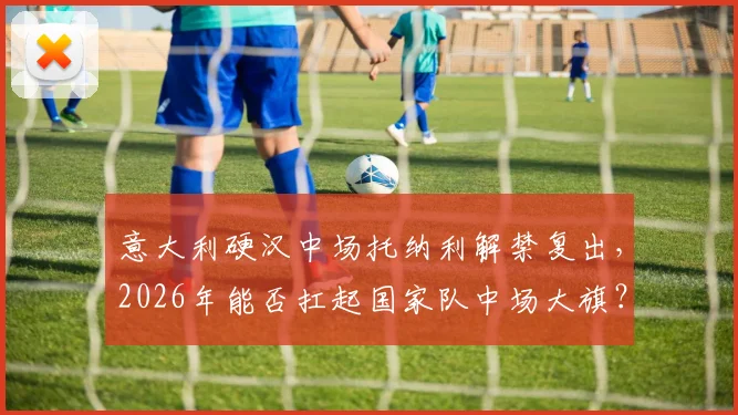 意大利硬汉中场托纳利解禁复出，2026年能否扛起国家队中场大旗？深度分析其战术价值与影响